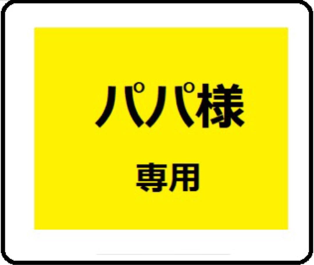 【パパ】バディ１個、マイシングス１個 Fanicon