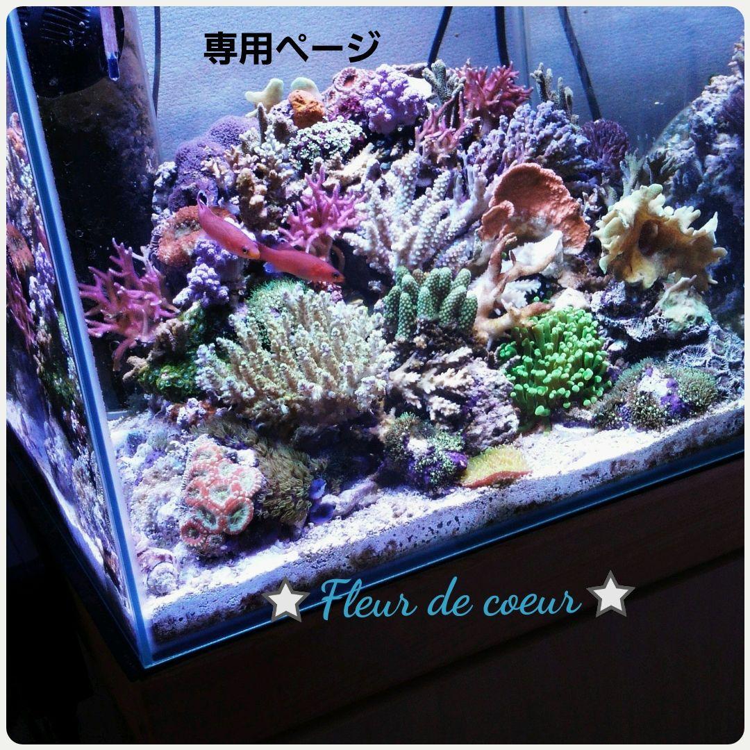 専用ページ★バターリャパライバトルマリン&パパラチペンダントトップ18金★ acbe9505e4b388a3939c3f495362fb