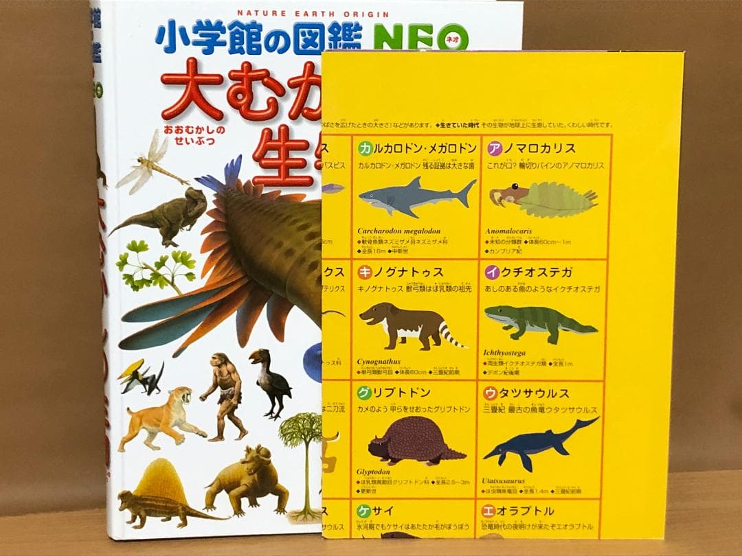 小学館の図鑑NEO 17冊