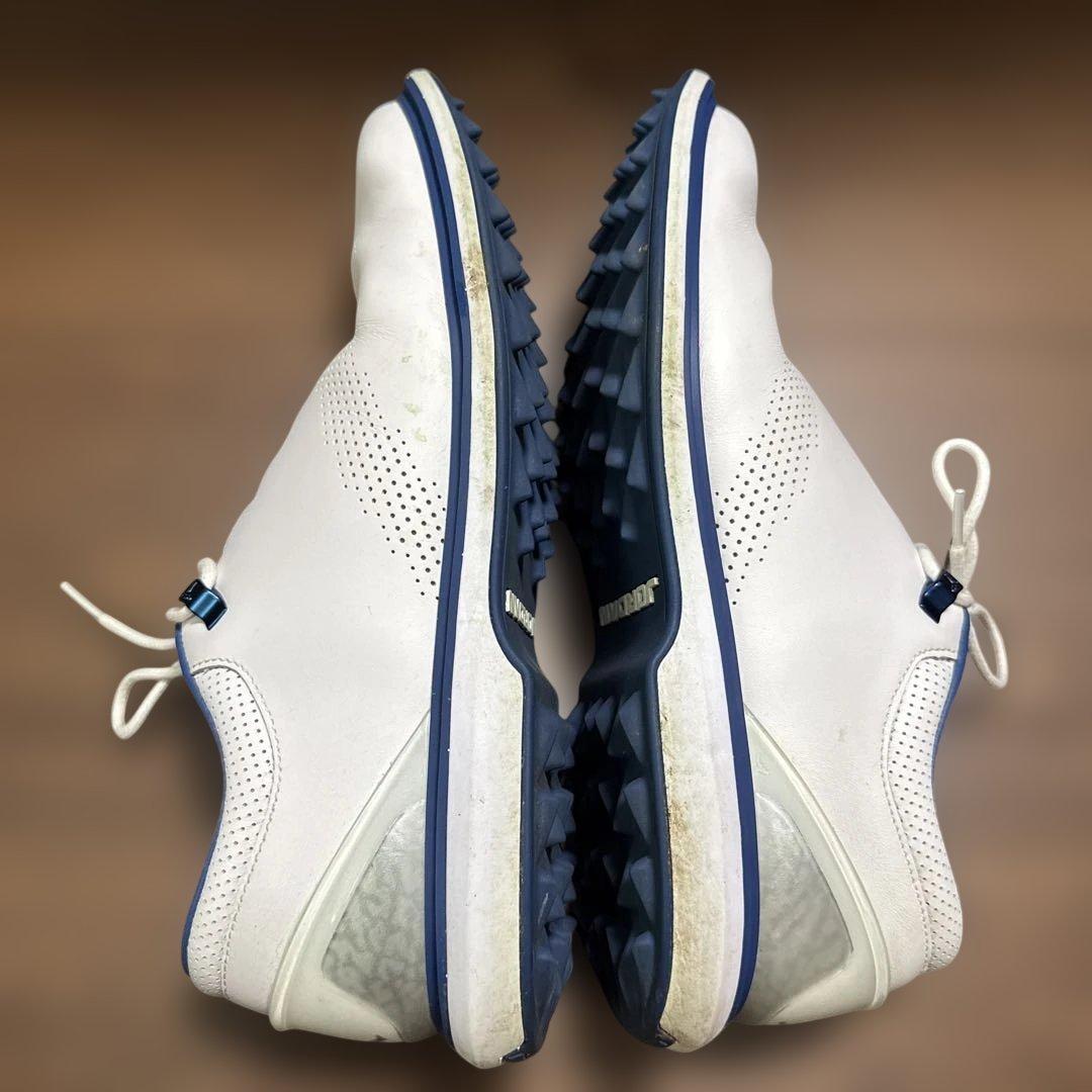 シューズ(男性用) NIKE Jordan ADG 4 28.5cm