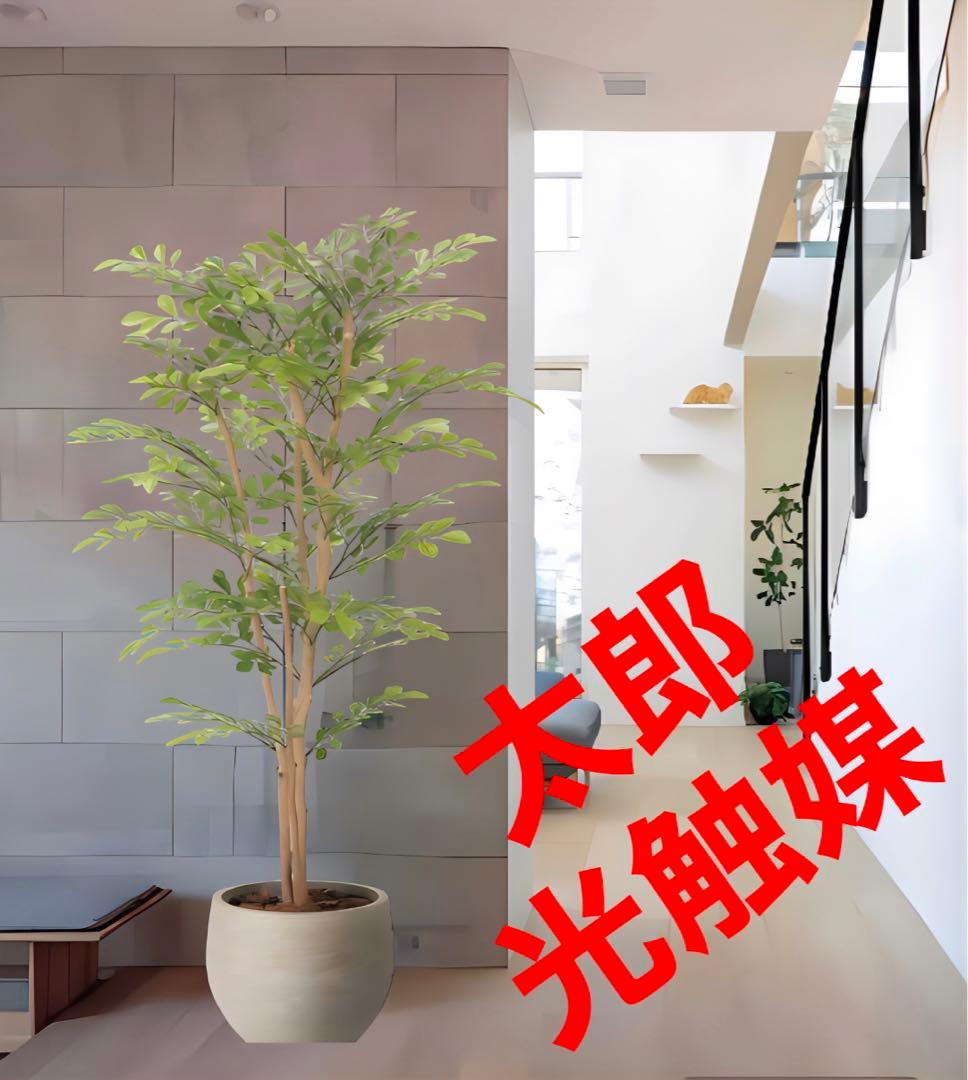光触媒　人工観葉植物　フェイクグリーン　ナチュラルライトトネリコ1.1 光触媒 光の楽園ナチュラルトネリコ 1.8m【インテリア フェイク