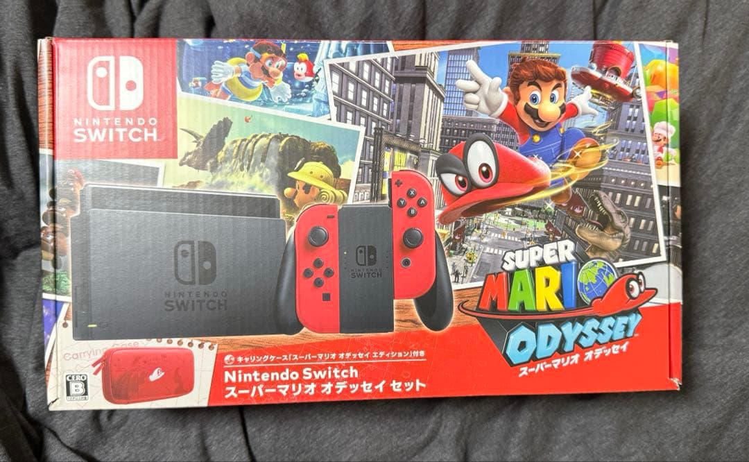 Nintendo Switch 本体（キャリングケース付き） Nintendo Switch キャリングケース（画面保護シート付き） | Toys”R”Us