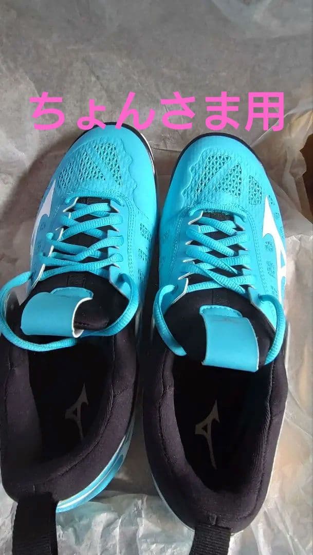 Mizuno バレーボールシューズ 青 ミズノ（MIZUNO）バレーボールシューズ ウエーブ ディメンション