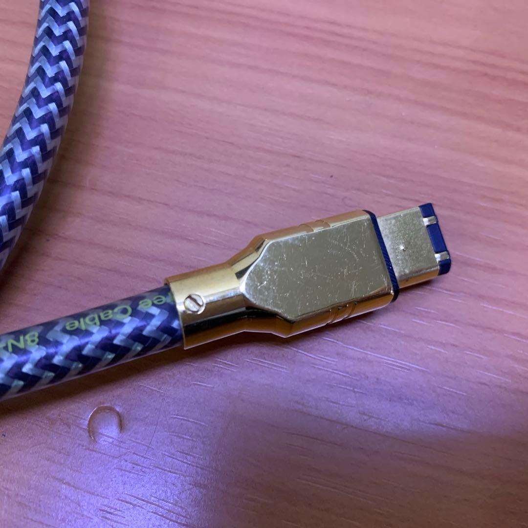 レア❗️ ESOTERIC i.LINKケーブル　8N-6P/6Pi 1.0m