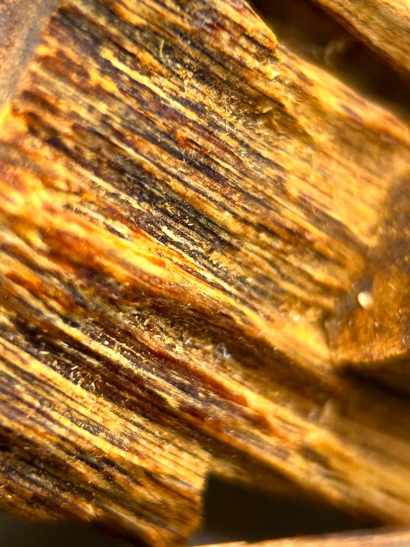 お香 天然沈香 六国五味聞香用 伽羅 香木 3-S-10.096 お香 天然沈香 六国五味聞香用 伽羅 香木 3-S-10.096 お香 天然沈香 六