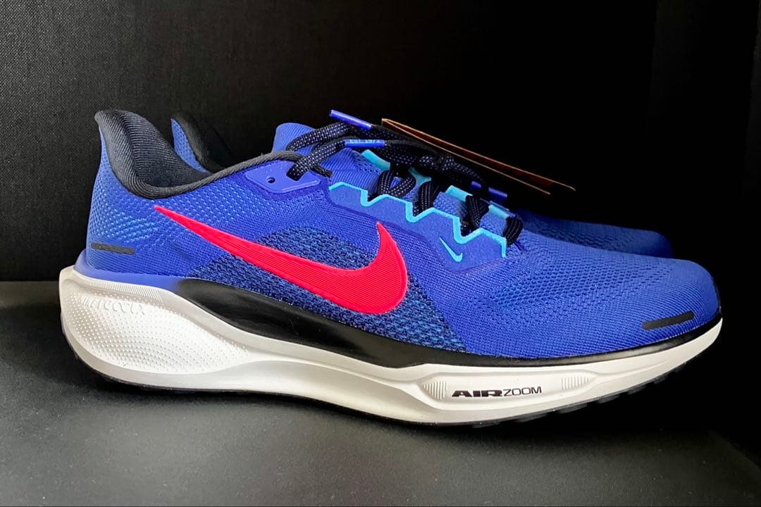 廃番カラー、完全未使用品）ナイキ エアズーム ペガサス 41