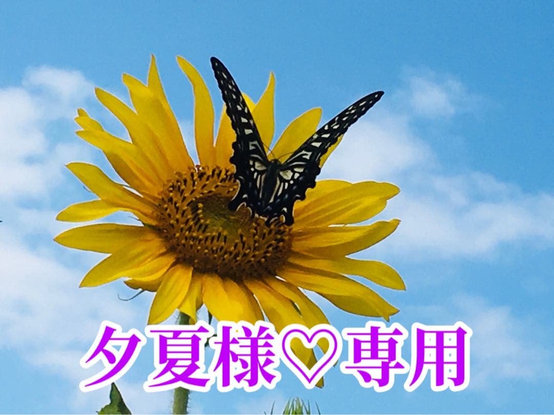 夕夏様❤️おまとめ専用ページです。1/20まで♡