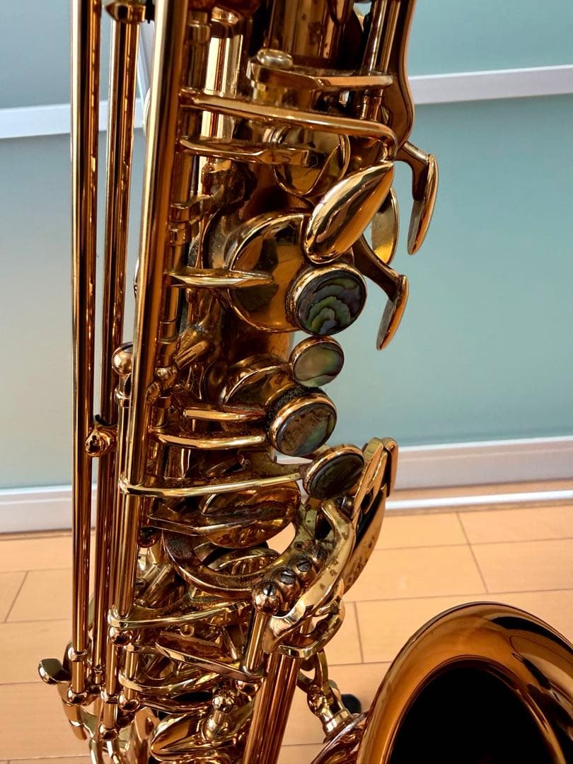 定価42越え】アルトサックス Cannonball AScep-L