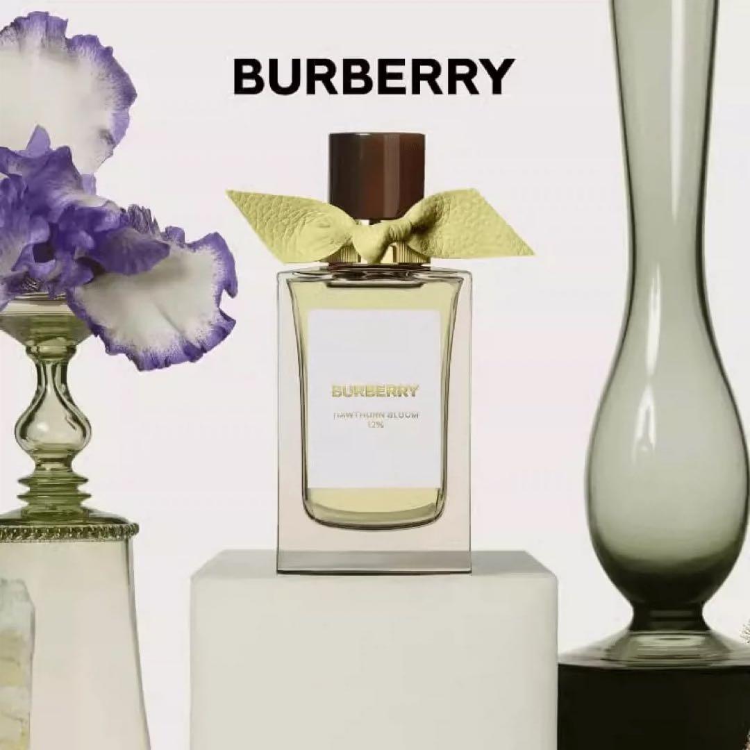 BURBERRY シグネーチャー ホーソンブルーム 12％ 100ml ホーソーンブルームオードパルファム(バーバリー)の通販・口コミ
