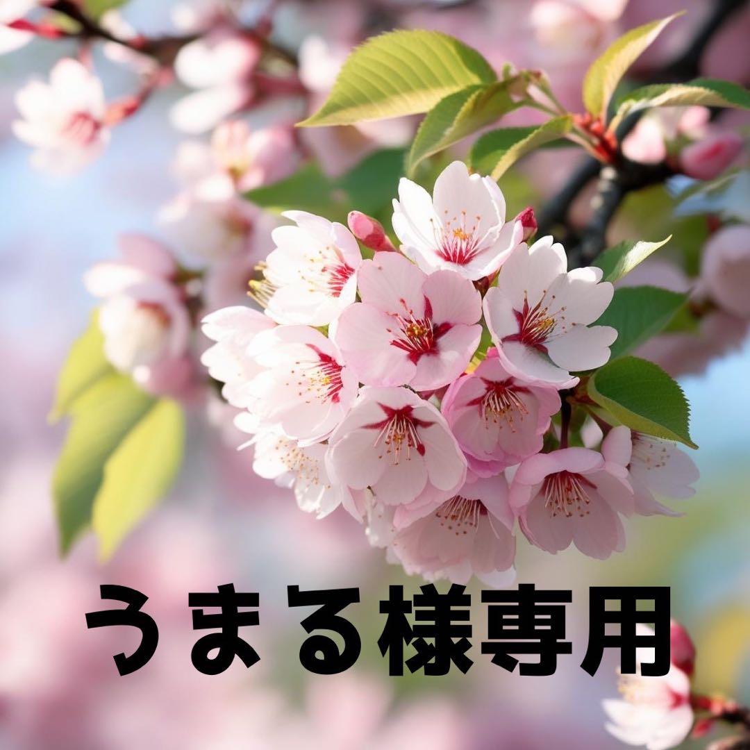 うまる　⑦番 楽天市場】53178（パーツ｜バイク用品）：車用品・バイク用品の通販