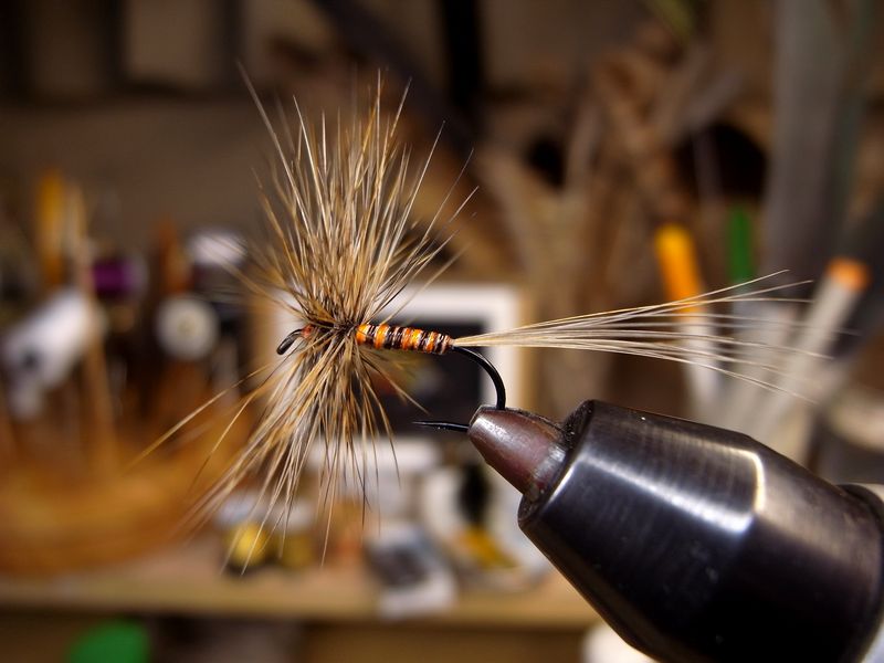 Whiting High & Dry Hackle Dyed Tan Grizzly | BIZENアングラ
