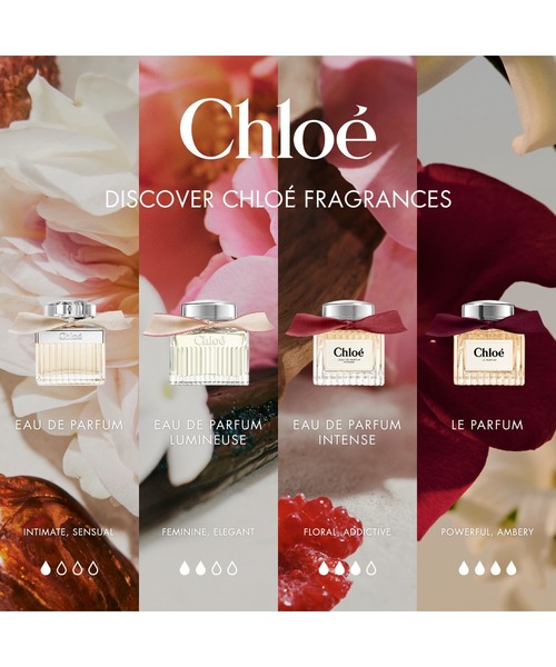 クロエ オードパルファム インテンス 50mL（香水）｜Chloe（クロエ）の