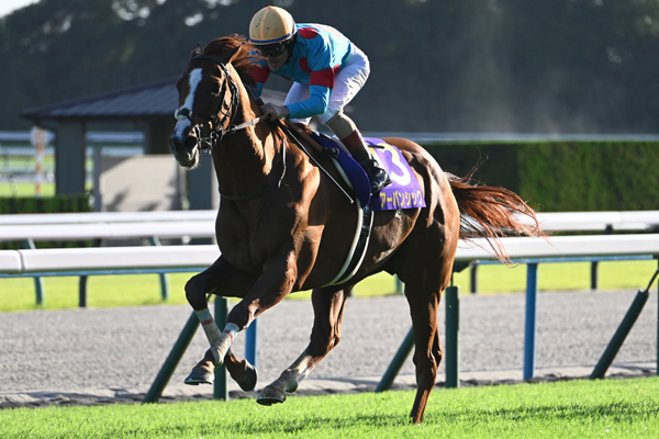 第56回菊花賞 優勝馬単勝馬券 第56回菊花賞 優勝馬単勝馬券